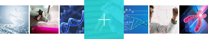 發(fā)熱瓷磚廠家